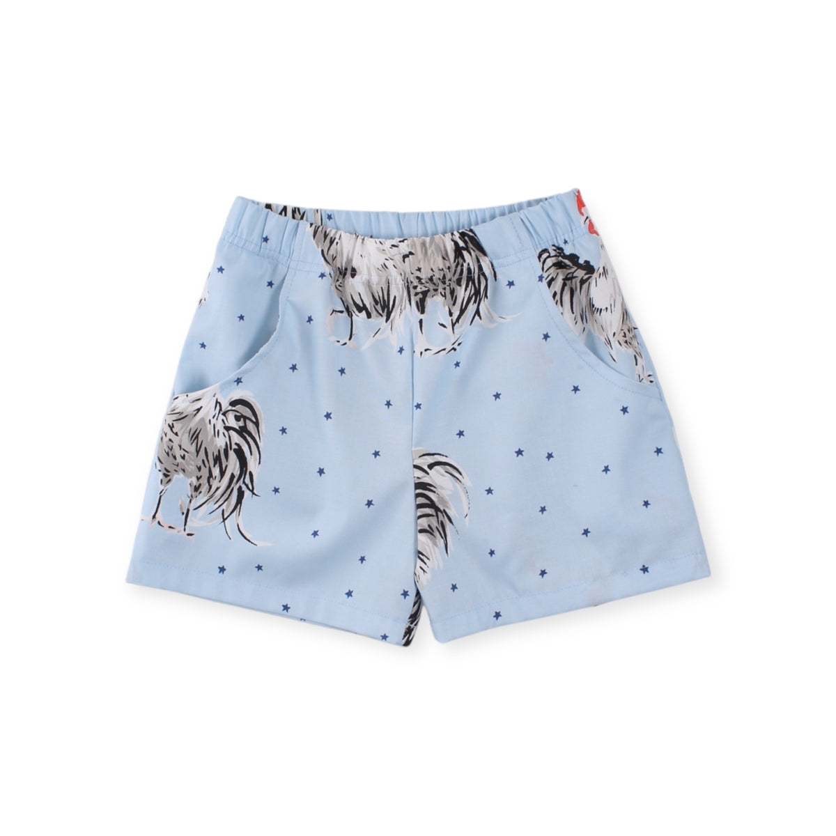 Charlie Shorts, Rooster