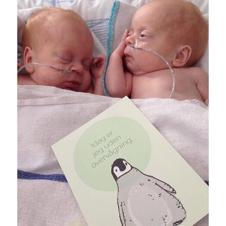 Norma Milestone card, premature