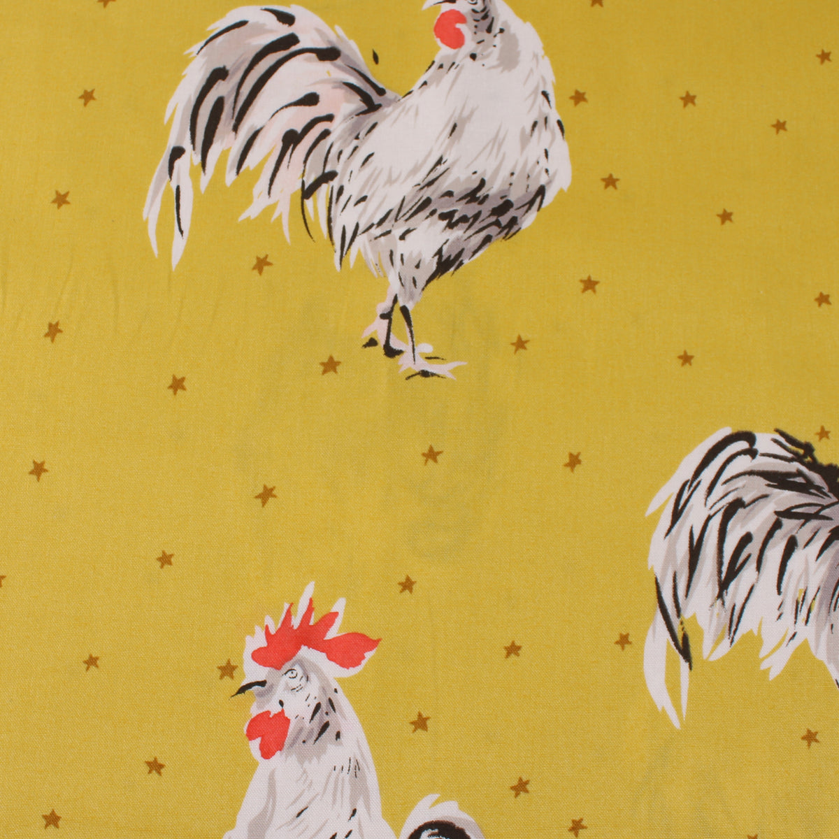 Charlie Shorts, Rooster