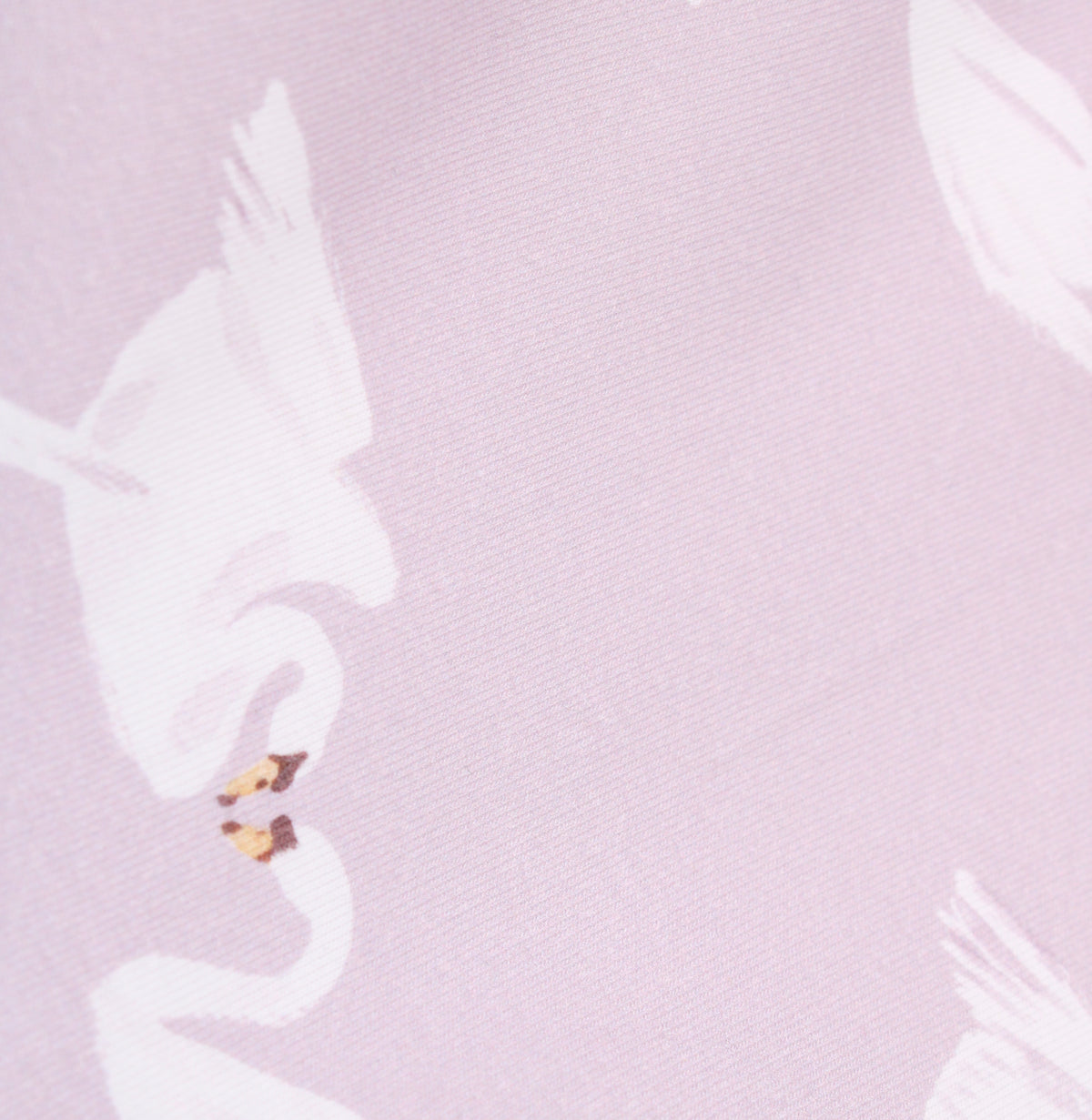 Chriss Body, Swan